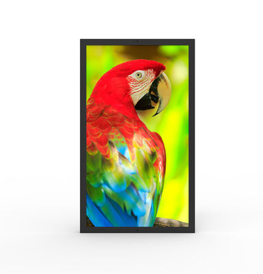 কেনা জল প্রতিরোধী HDMI বাণিজ্যিক ডিজিটাল স্ক্রিন 49 ইঞ্চি আল্ট্রাওয়াইড মনিটর online manufacture